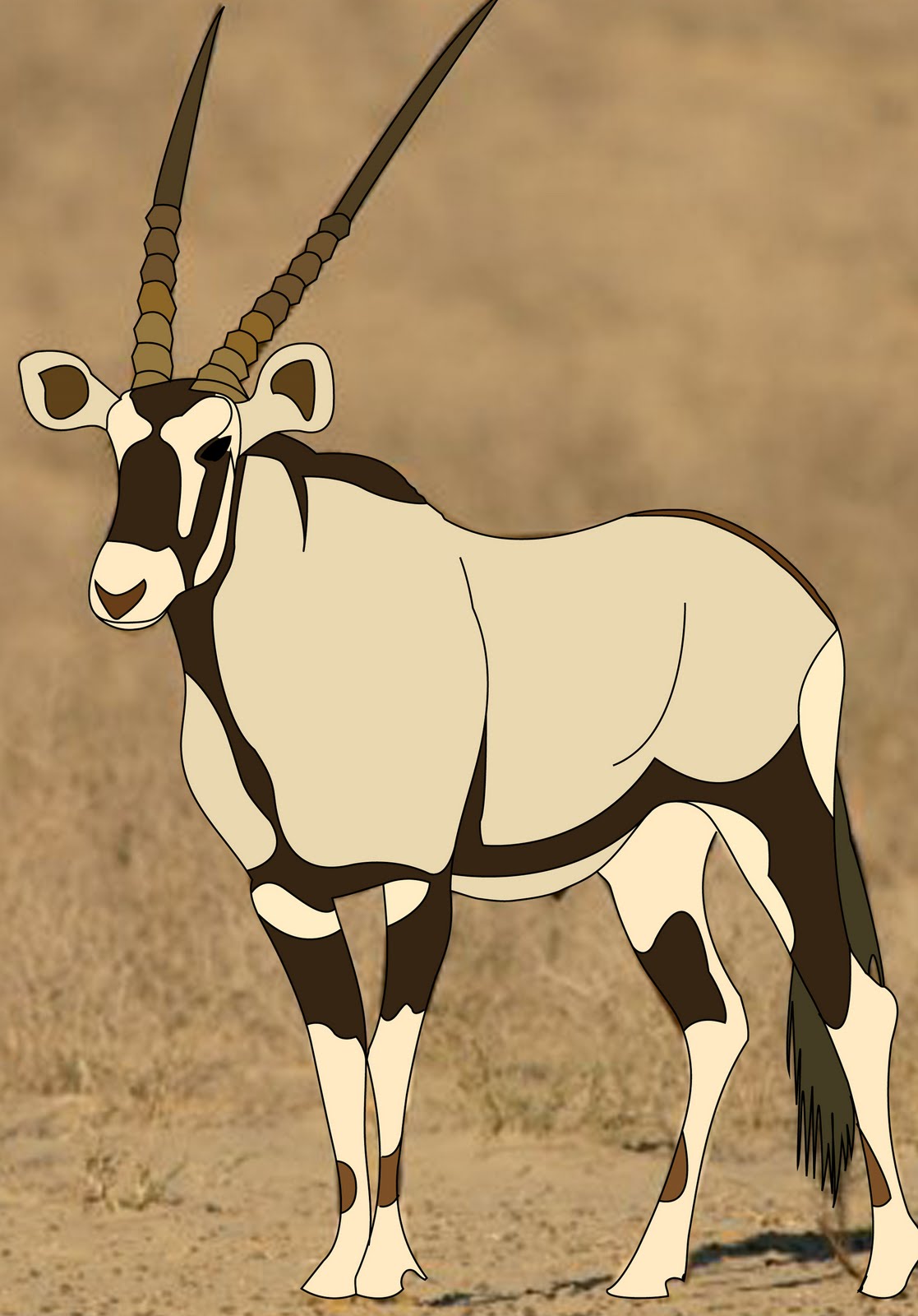 Gemsbuck Face - 1117x1600 - jpeg Gemsbuck Face